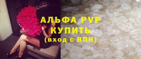 индика Карпинск