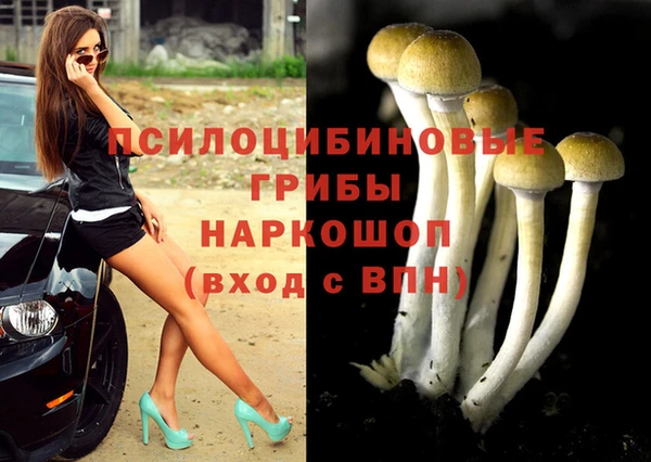 бошки Гусев