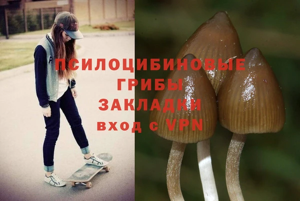 амф Кинешма