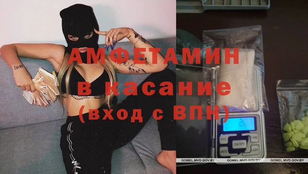индика Карпинск