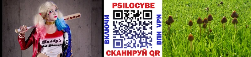 дарк нет состав  Великий Устюг  Галлюциногенные грибы прущие грибы  наркошоп 