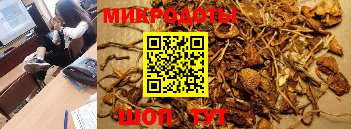Великий Устюг  Галлюциногенные грибы мухоморы  Галлюциногенные грибы GOLDEN TEACHER  Вход с VPN 