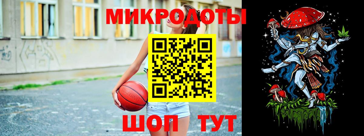 Галлюциногенные грибы Psilocybine cubensis Великий Устюг